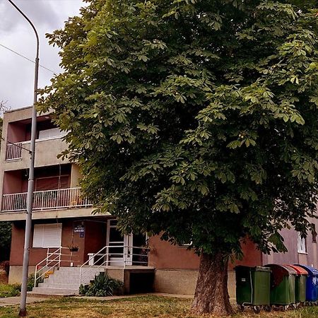 Tp Apartman 1 Križevci Екстериор снимка